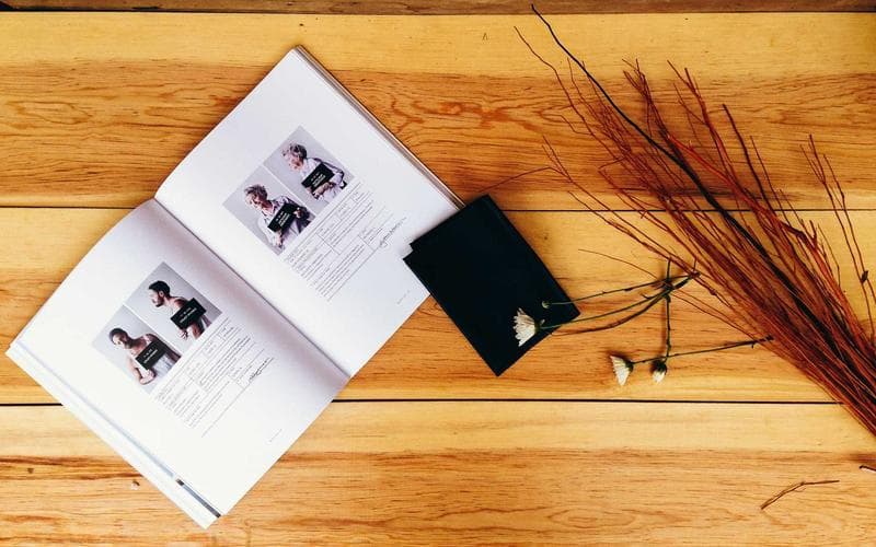 Cara Memilih Theme WordPress untuk Sekolah yang Tepat